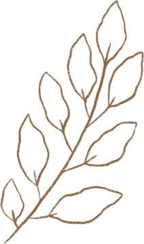 demo-attachment-294-GOLDEN-LEAF-1
