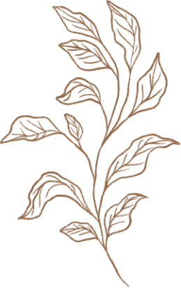 demo-attachment-293-GOLDEN-LEAF